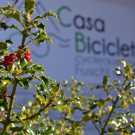 Casa Bicicletta Lejlighed Fuschl am See Eksteriør billede